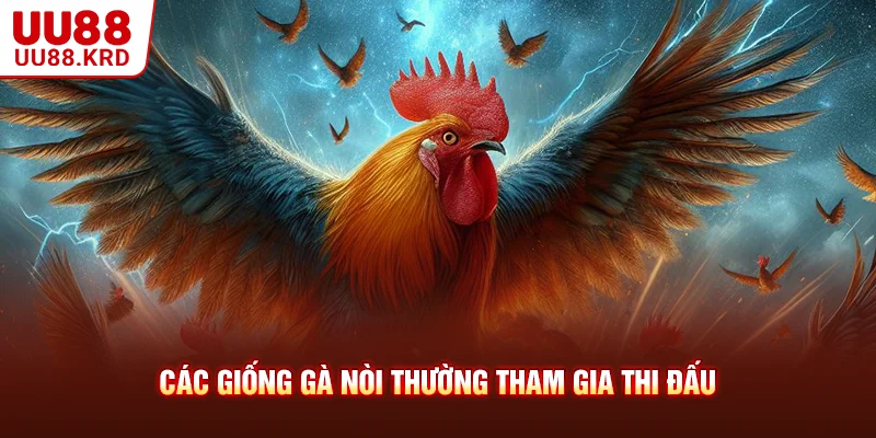Các giống gà nòi thường tham gia thi đấu Các giống gà nòi thường tham gia thi đấu