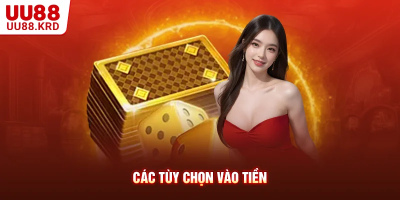 Các tùy chọn vào tiền