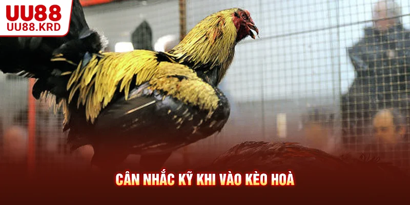 Cân nhắc kỹ khi vào kèo Hoà Cân nhắc kỹ khi vào kèo Hoà