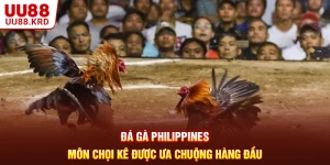 Đá Gà Philippines - Môn Chọi Kê Được Ưa Chuộng Hàng Đầu