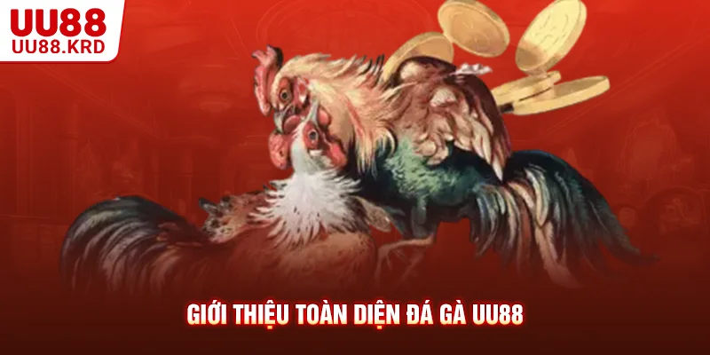 Giới thiệu toàn diện đá gà UU88