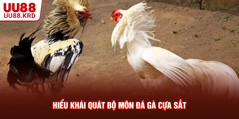 Hiểu khái quát bộ môn đá gà cựa sắt Hiểu khái quát bộ môn đá gà cựa sắt