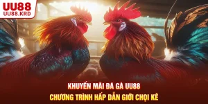 Khuyến M&atilde;i Đ&aacute; G&agrave; UU88 - Chương Tr&igrave;nh Hấp Dẫn Giới Chọi K&ecirc;