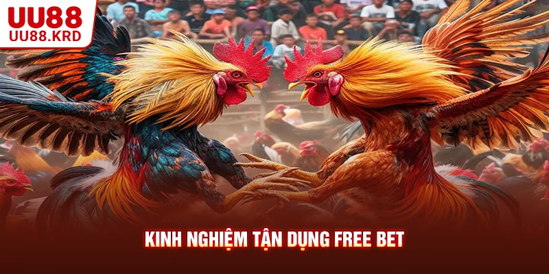 Kinh nghiệm tận dụng free bet Kinh nghiệm tận dụng free bet