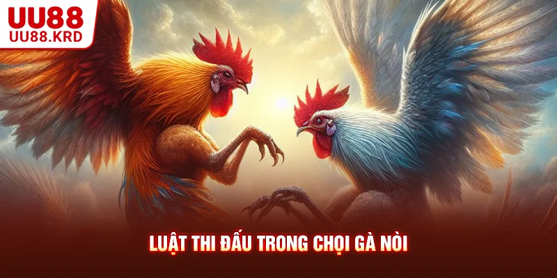 Luật thi đấu trong chọi gà nòi Luật thi đấu trong chọi gà nòi