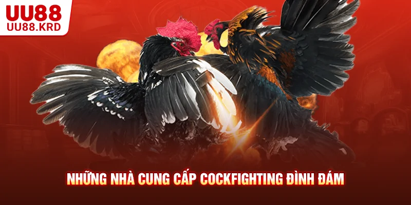 Những nhà cung cấp Cockfighting đình đám