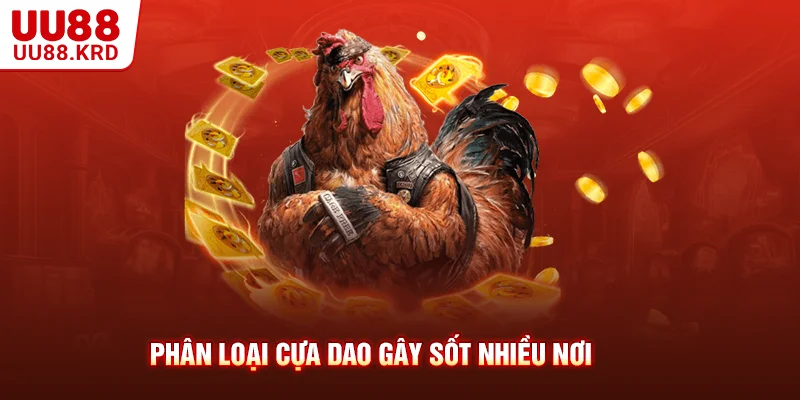 Phân loại cựa dao gây sốt nhiều nơi