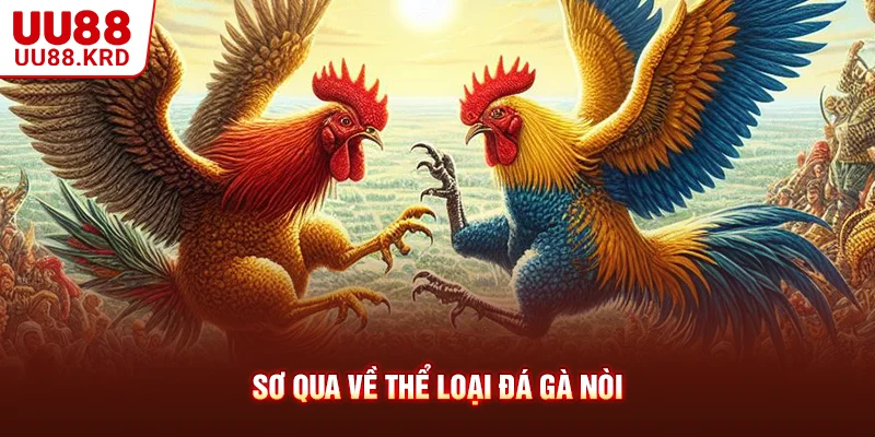Sơ qua về thể loại đá gà nòi Sơ qua về thể loại đá gà nòi