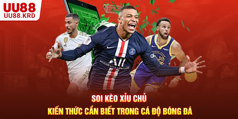 Soi Kèo Xỉu Chủ - Kiến Thức Cần Biết Trong Cá Độ Bóng Đá