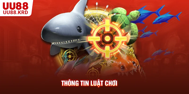 Thông tin luật chơi