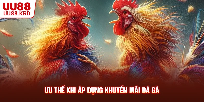 Ưu thế khi áp dụng khuyến mãi đá gà Ưu thế khi áp dụng khuyến mãi đá gà