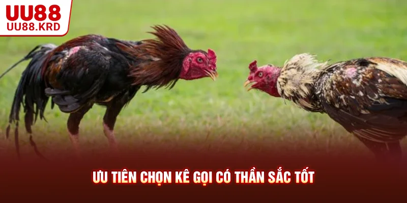 Ưu tiên chọn kê gọi có thần sắc tốt